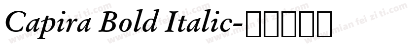 Capira Bold Italic字体转换